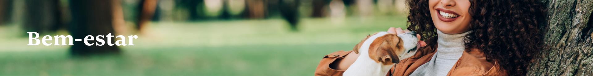 Banner Desk 1